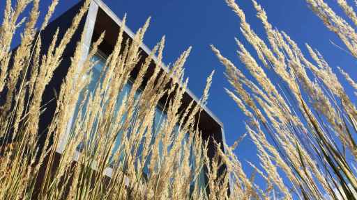Ferienhaus im Sommer