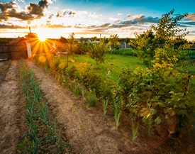 garten-homepage.jpg