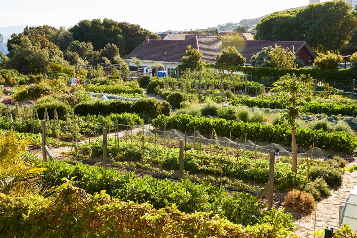 Garden Sharing