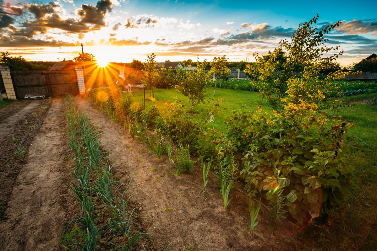 Einen Garten Mieten Ideen Angebote In Der Umgebung