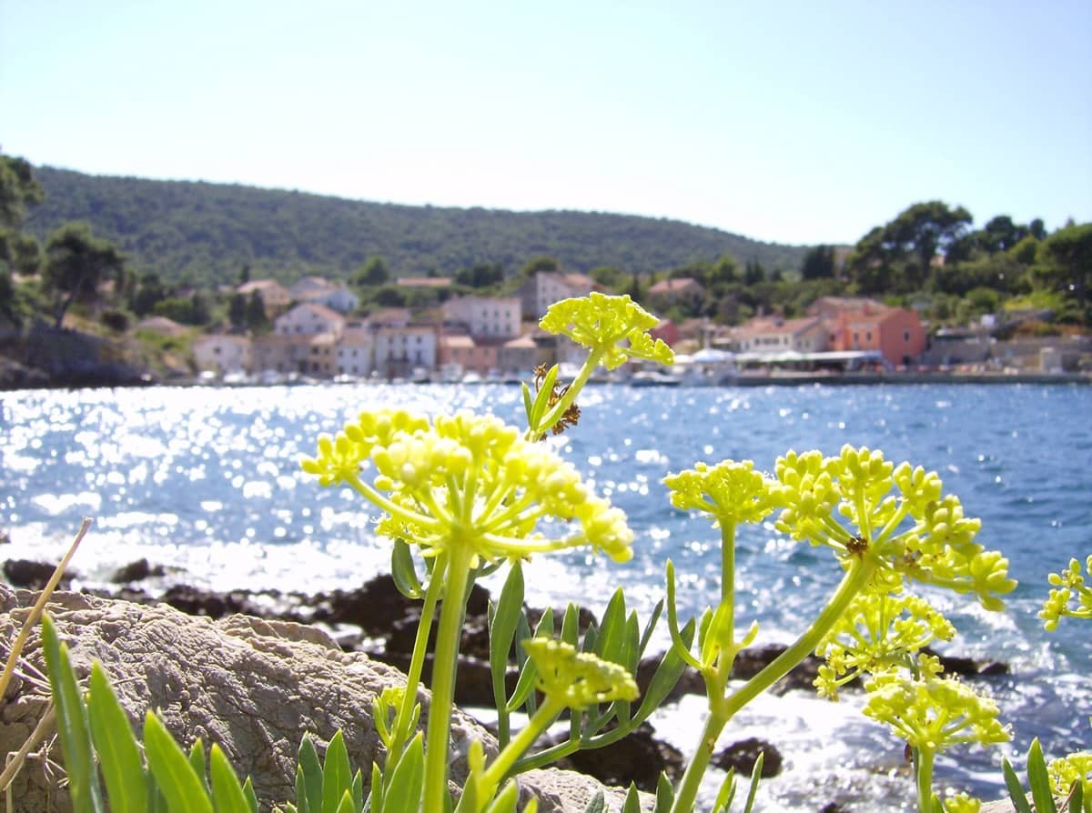 Mali Losinj
