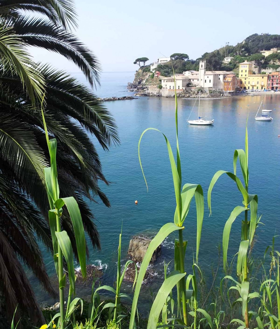 Ferienhaus Ligurien - Sestri Levante